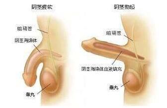 李森恺