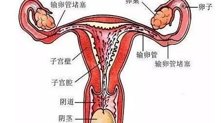李秀梅
