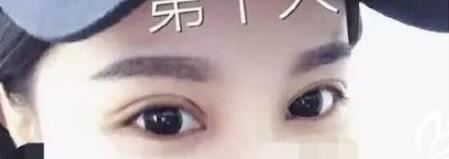 王殿博