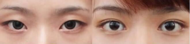 张如鸿