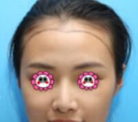 赵力军