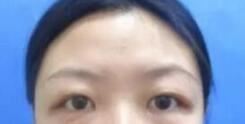 何鸿智