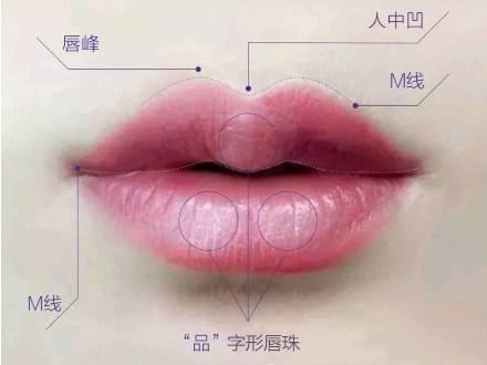 品字形唇珠