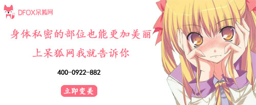 呆狐网
