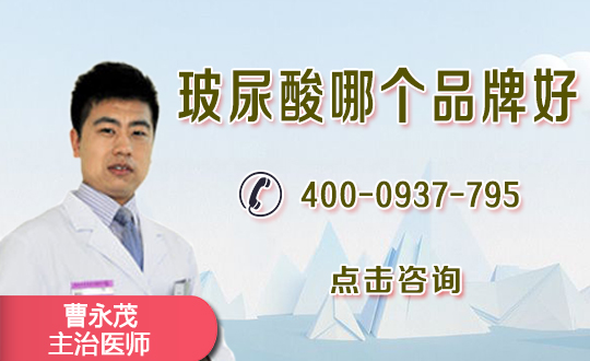 透明质酸成分与功能