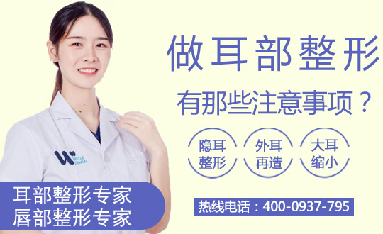 大耳缩小