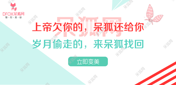 呆狐网 呆狐网