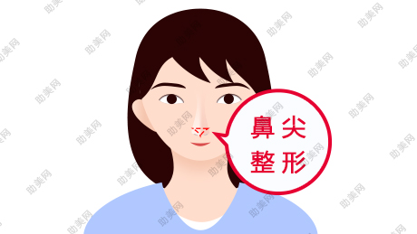 深圳微美常用鼻尖美容术