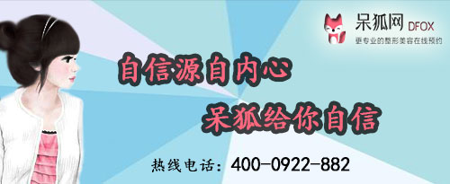 呆狐网
