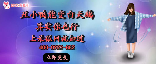 呆狐网 呆狐网
