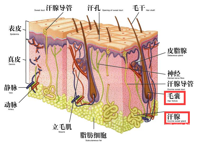 图片9.png