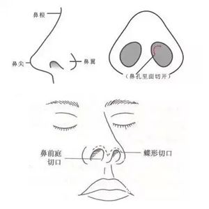 未标题-1.jpg
